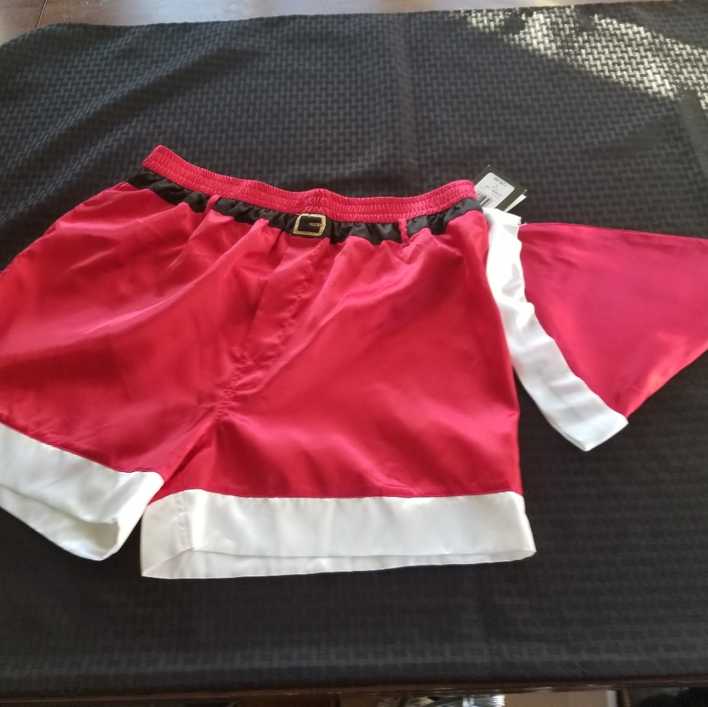 Santa  boxers